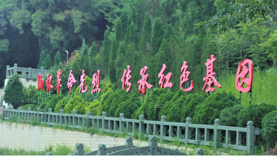 1623983013671656.png image.png