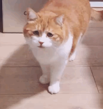 微信图片_20210804131425.gif